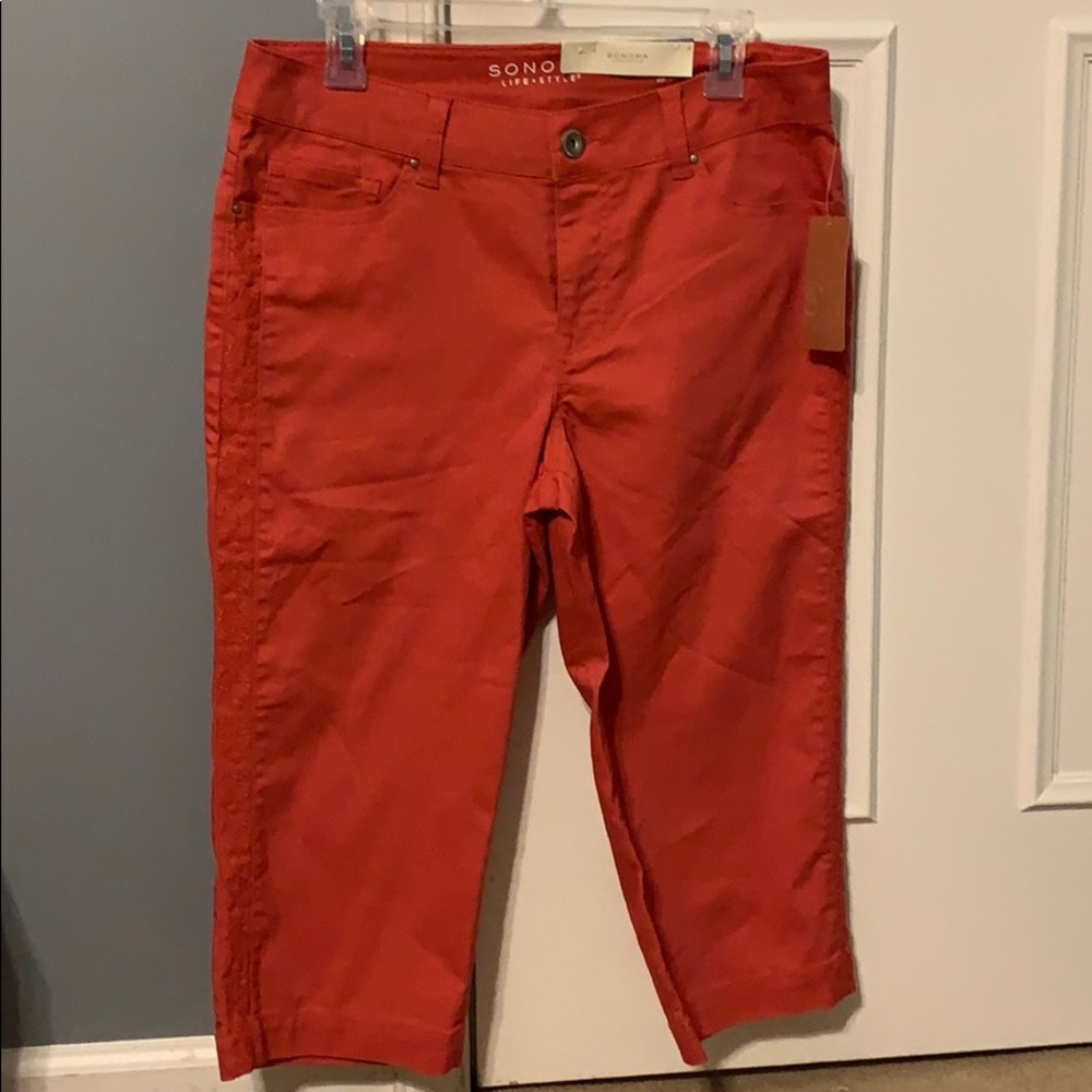 Sonoma Shorts